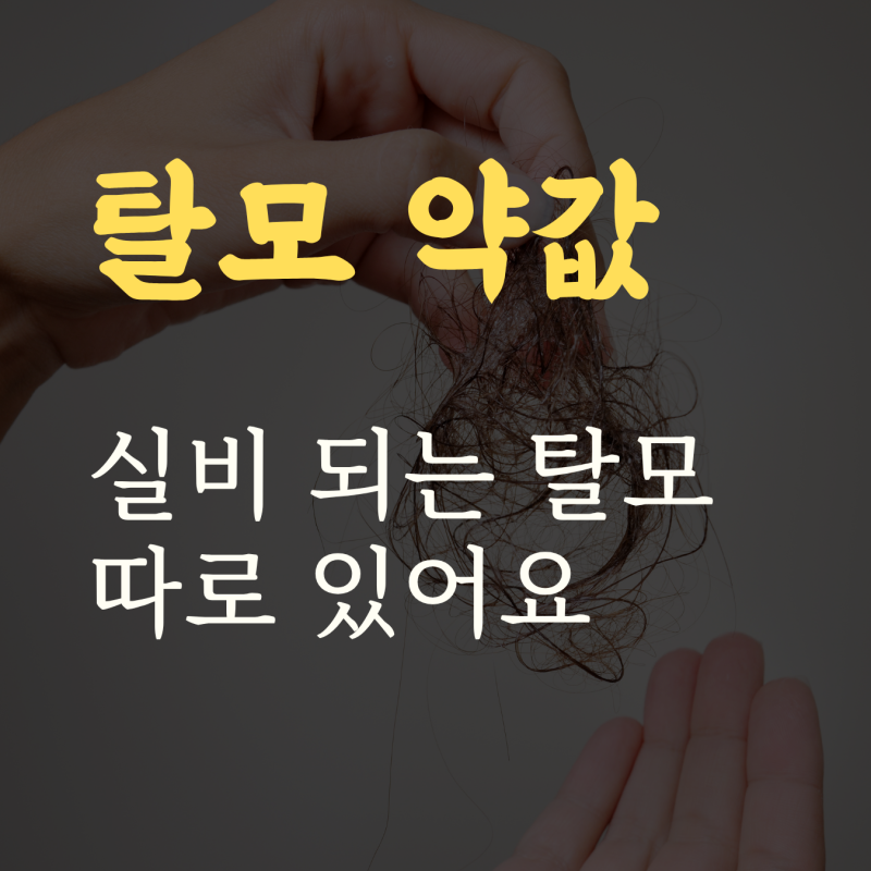 탈모 실비, 탈모도 보험 되는 거 모르고 포기하셨죠?