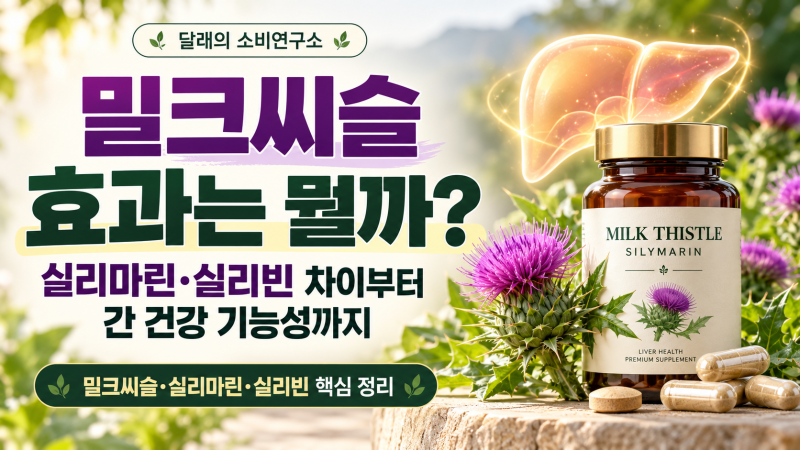 밀크씨슬 효과는 뭘까?｜실리마린·실리빈 차이부터 간 건강 기능성까지
