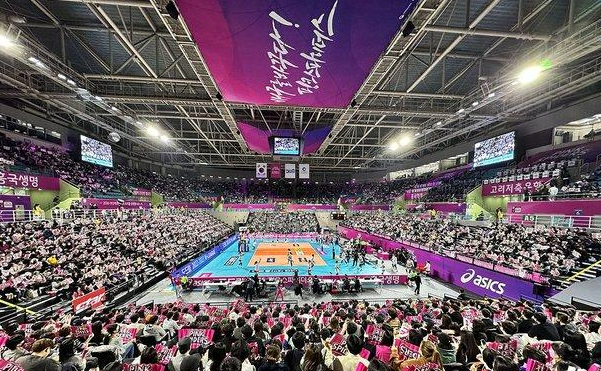 여자배구 개막 D-25! 여자프로배구 일정부터 연봉까지 총정리