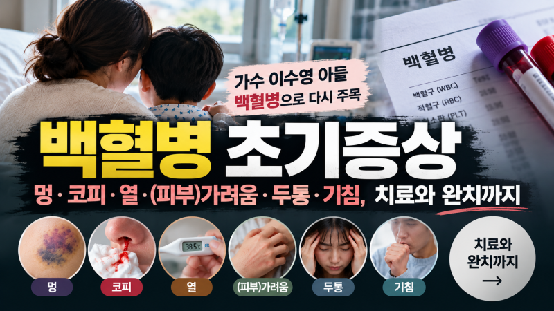 백혈병 초기증상 l 가수 이수영 아들 백혈병으로 다시 주목 (멍·코피·열·(피부)가려움·두통....