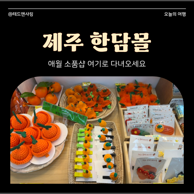 제주 애월 소품샵 한담몰 기념품 쇼핑 주차, 종류