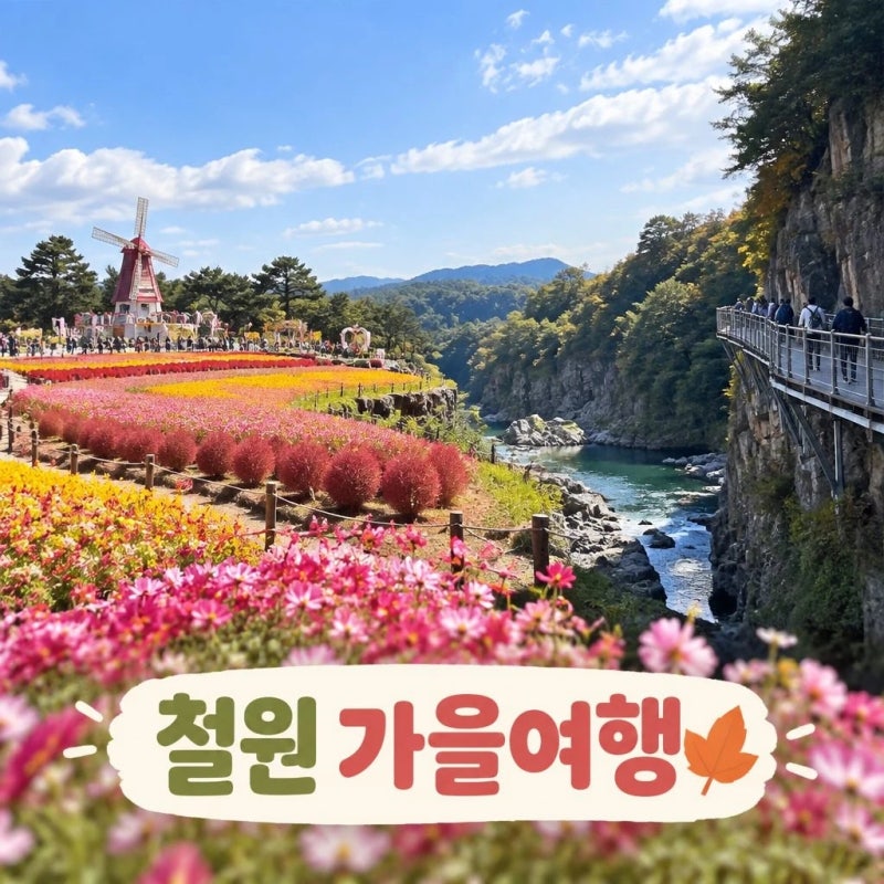 철원 가볼만한 곳｜고석정 꽃밭 한탄강 주상절리길 가을 여행 코스