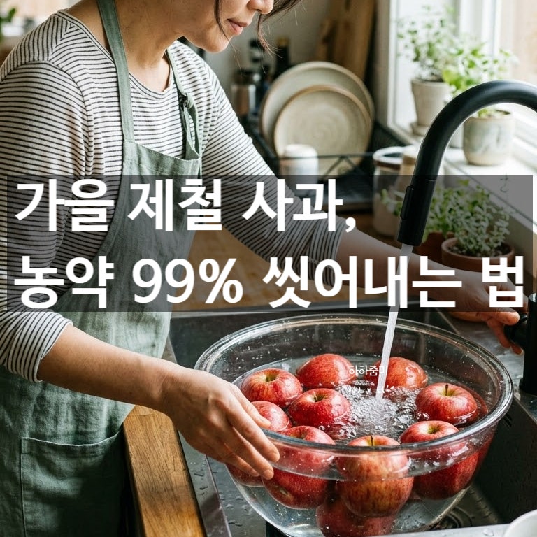 제철 사과, 껍질째 먹어도 될까? 잔류 농약 99% 씻어내는 법