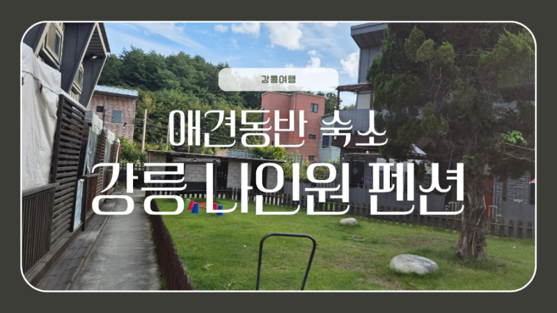 강릉애견펜션 추천 | 강릉애견동반 가성비 숙소 강릉 나인원펜션 후기