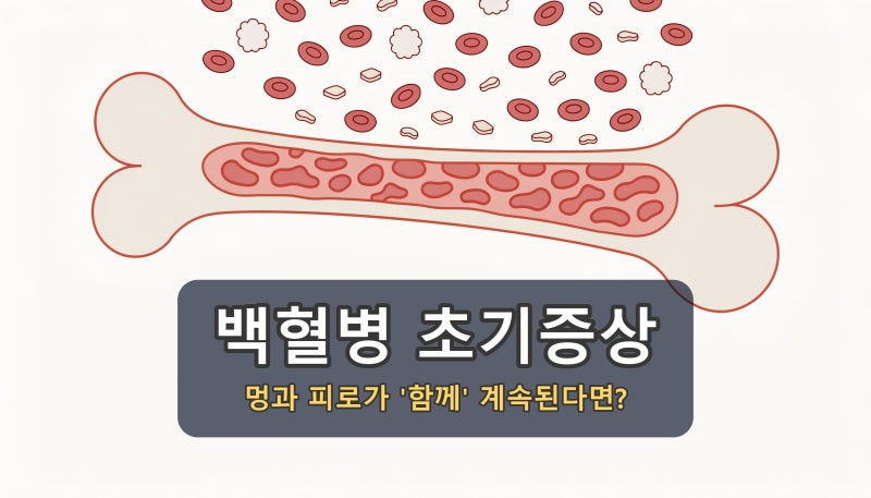 백혈병 초기증상, 멍과 피로가 '함께' 계속된다면?