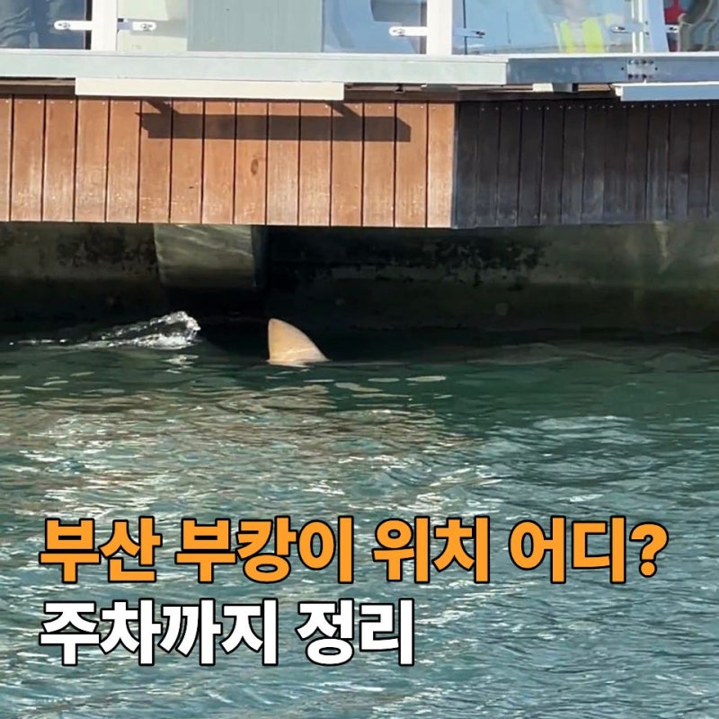 부산 부캉이 위치 어디? 북항친수공원 주차까지 직접 가본 후기