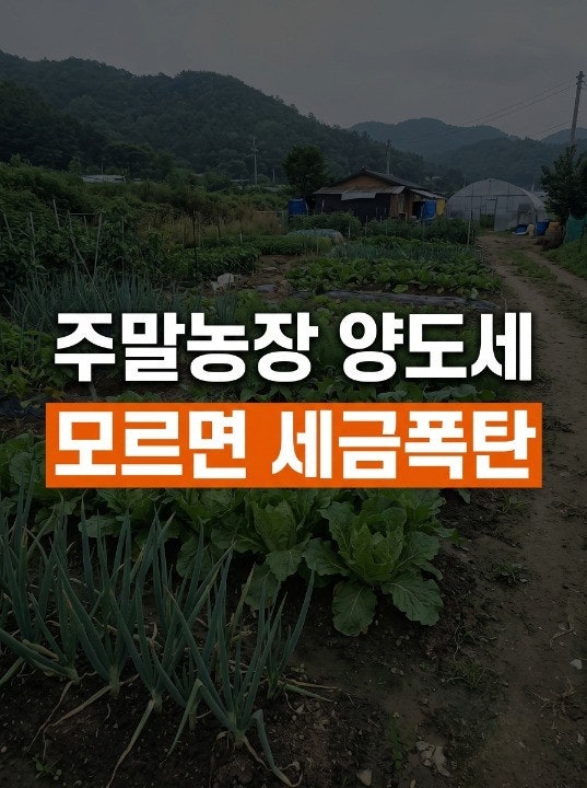농지 양도세, '이것' 하나로 수천만 원 갈립니다