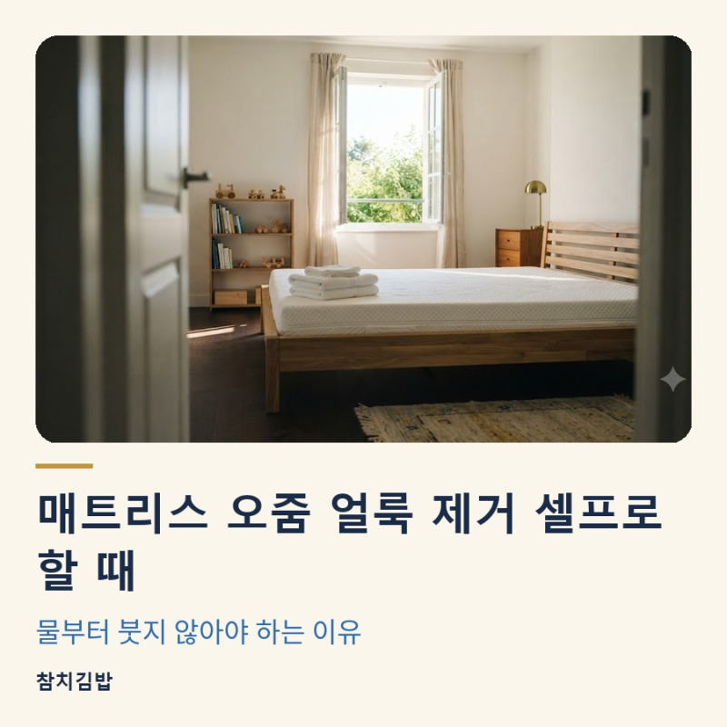 매트리스 오줌 얼룩 제거 셀프로 할 때, 물부터 붓지 않아야 하는 이유