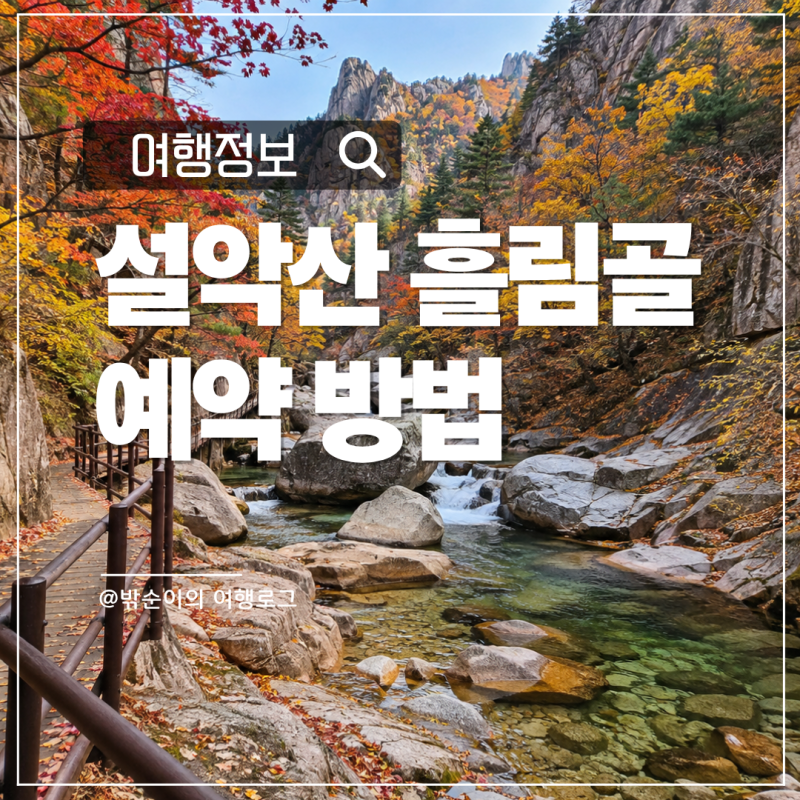 설악산 흘림골 단풍 보러 간다면? 예약부터 주차·탐방시간까지 한 번에