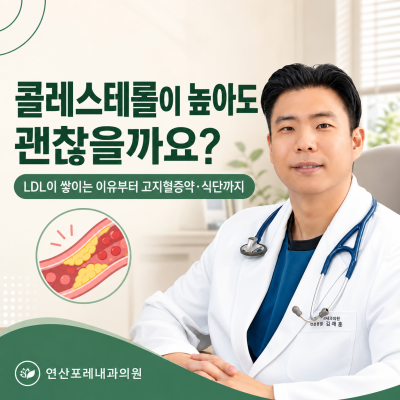 [연산동 내과] 콜레스테롤이 높아도 괜찮을까요? LDL이 쌓이는 이유부터 고지혈증약·식단까....