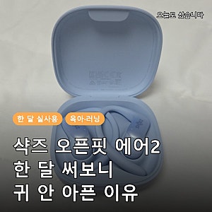 샥즈 오픈핏 에어2 후기 한 달 사용기, 육아·러닝 오픈형 이어폰 장단점