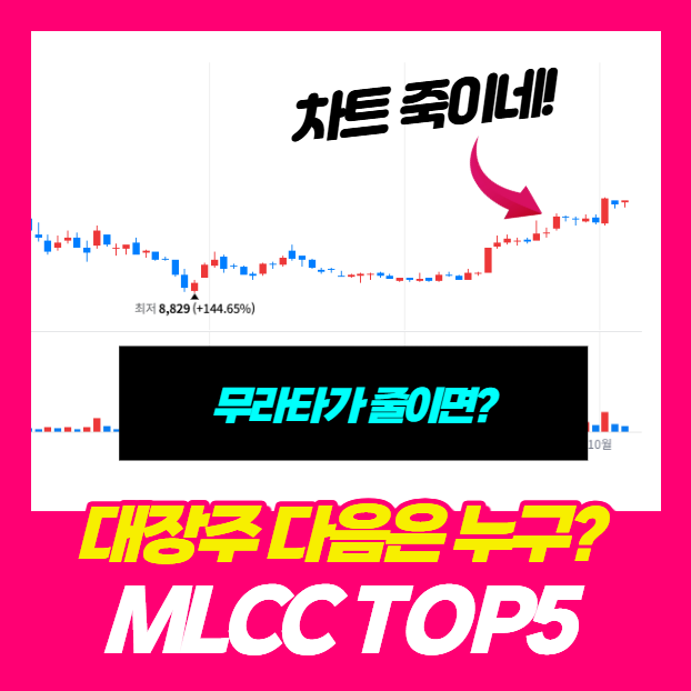 “대장주 다음은 누구?” MLCC 관련주 TOP5