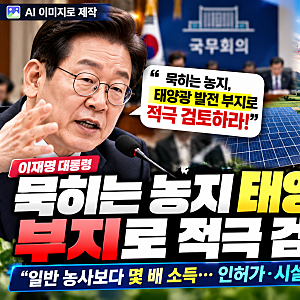 태양광 발전, 농지 전용하면 농사보다 몇 배 소득…정부 지원 시스템 검토