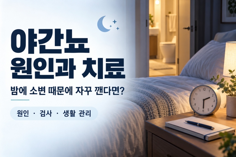 야간뇨 원인과 치료, 밤에 소변이 자주 마려울 때 약·운동·병원 선택까지