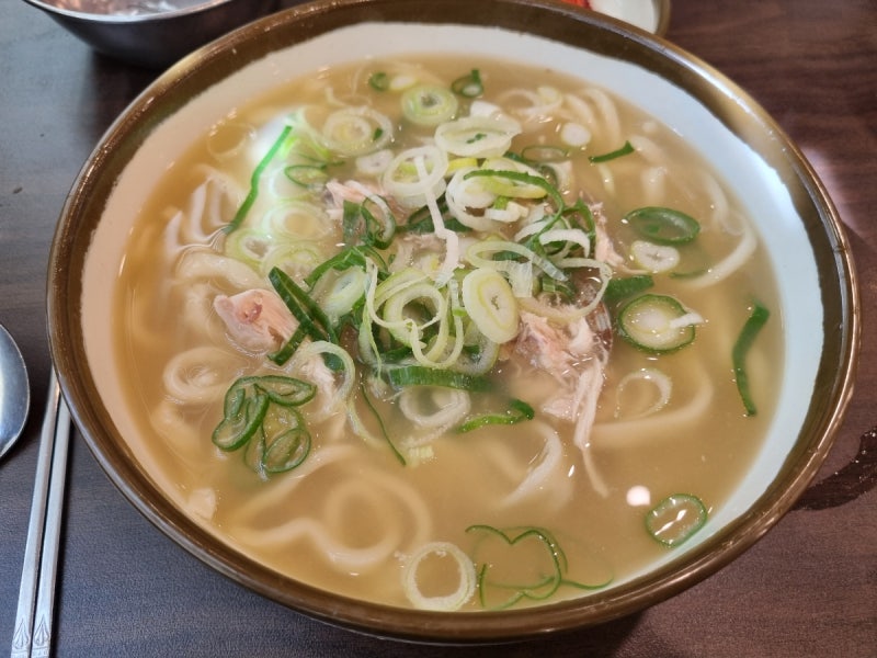 일산칼국수 본점 닭칼국수 일요일 웨이팅 내돈내산 후기