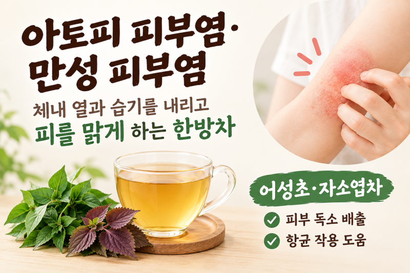 가려움증 원인 파악하기: 아토피염, 만성 피부염 개선을 위한 습열, 혈열 제거 가이드