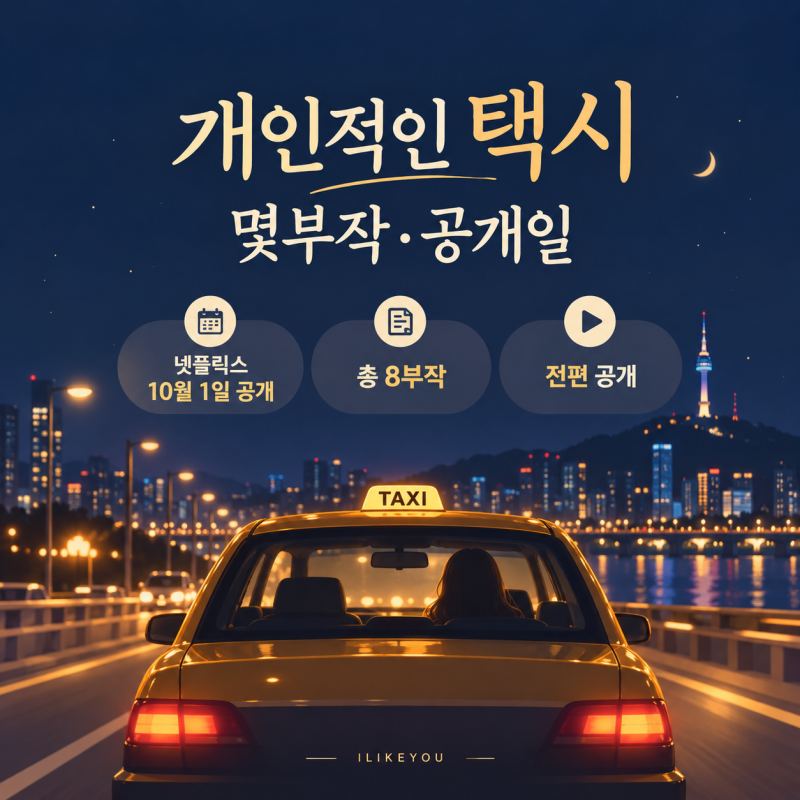 개인적인 택시 몇부작 넷플릭스 공개일 출연진·8개 에피소드 신청곡