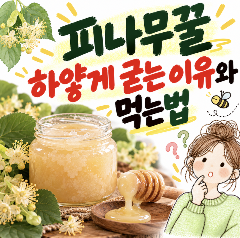피나무꿀 효능과 부작용, 하얗게 굳는 이유와 먹는법