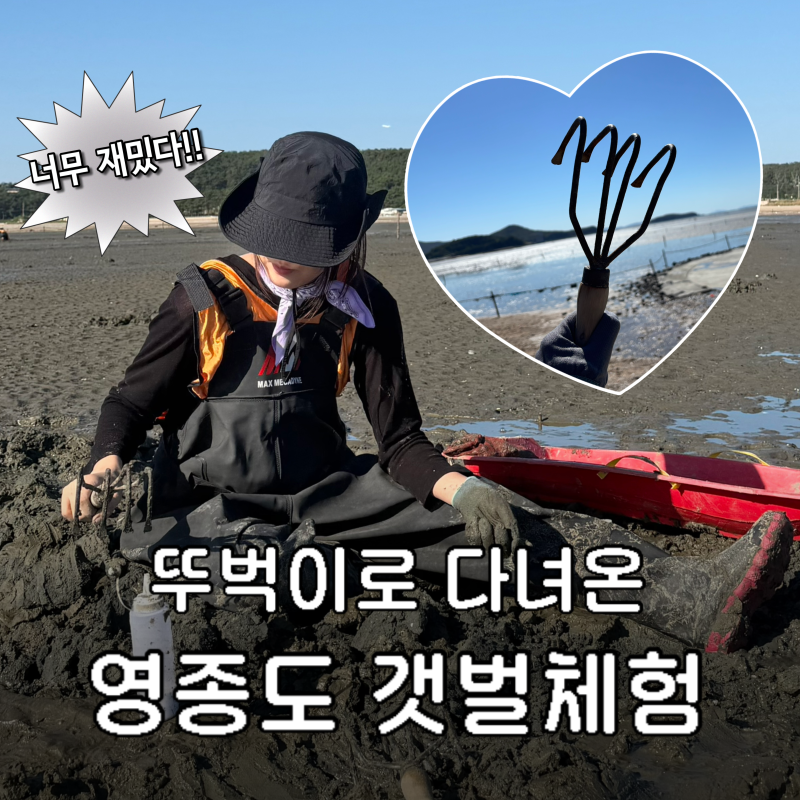 뚜벅이로 다녀온 영종도 마시안 갯벌체험 후기 : 물때·가격·준비물 꿀팁 총정리