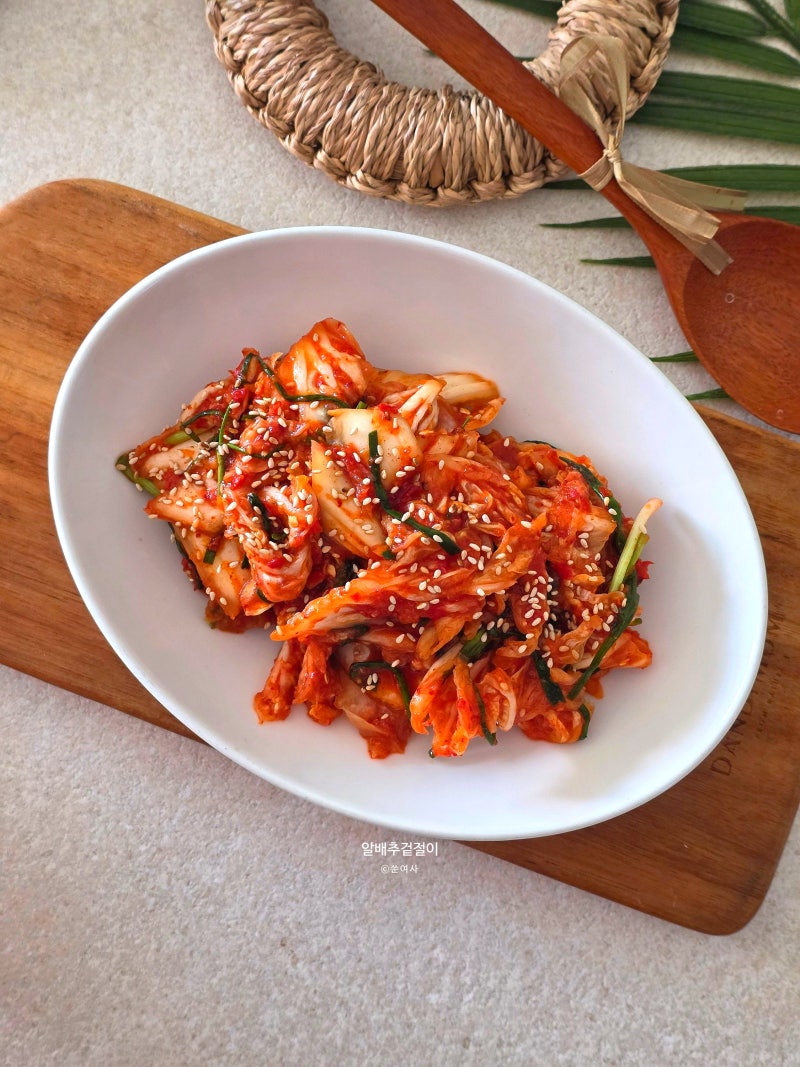 알배추 겉절이 레시피 알배기 배추겉절이 양념 만드는법 배추맛김치 만들기