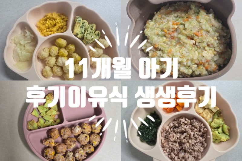 초보맘의 11개월 아기 후기 이유식 한 달 기록