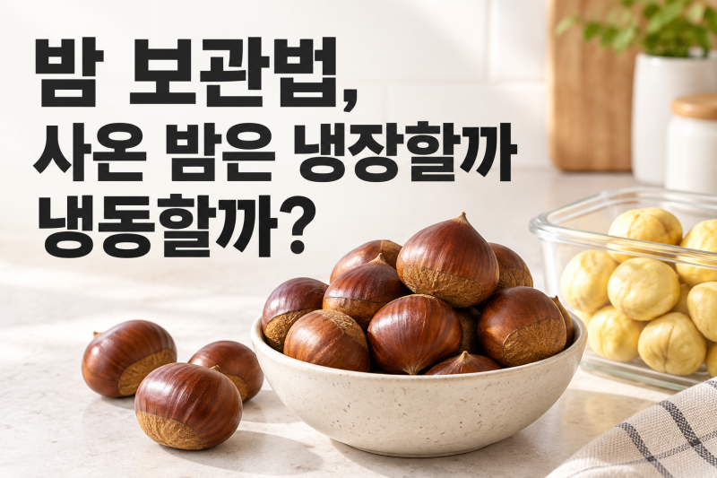 밤 보관법 총정리｜생밤·깐밤·삶은 밤 냉장 냉동 방법