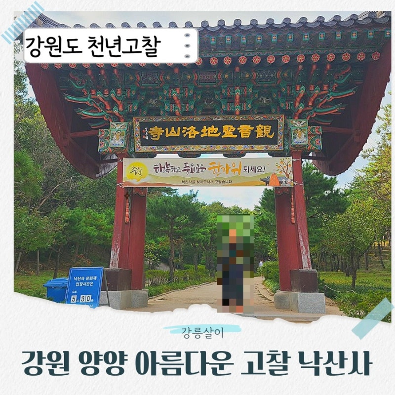 [양양 낙산사 완벽 가이드] 소요시간부터 주차 꿀팁·추천 코스까지 총정리