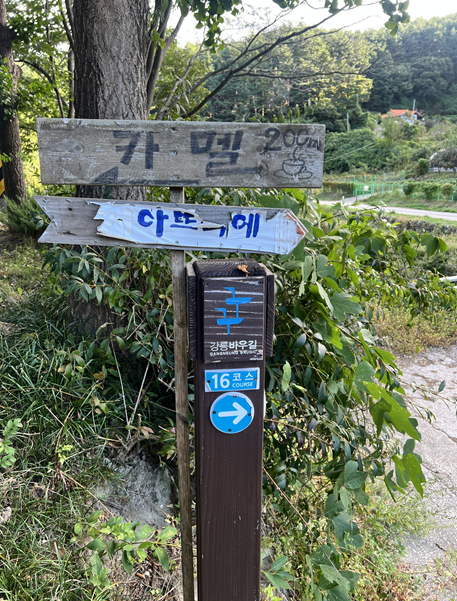 집 근처 산책하다 발견한 강릉바우길 16코스 (feat. 총 20개 코스가 있다니!)