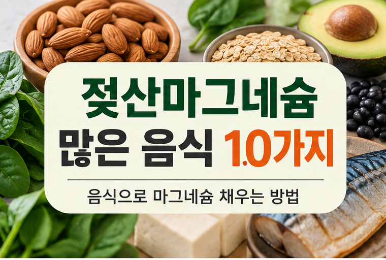 젖산마그네슘 많은 음식 10가지, 음식으로 마그네슘 채우는 방법