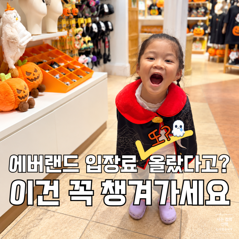 에버랜드 입장료 인상됐다고? 정기권 3년차가 챙기는 에버랜드 가을·겨울 필수 준비물