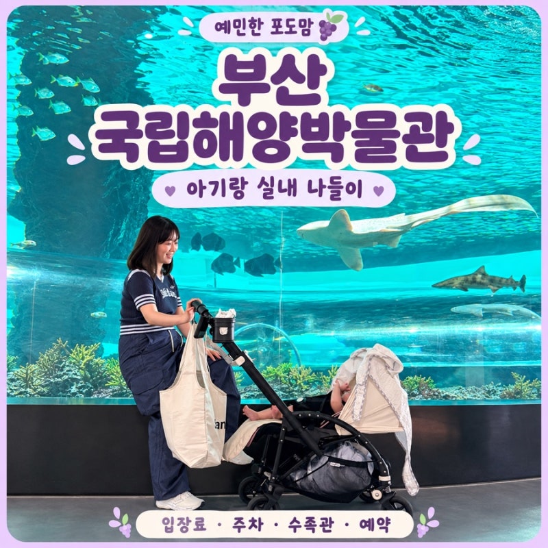 부산 국립해양박물관 입장료·주차·수족관·어린이박물관 예약 총정리