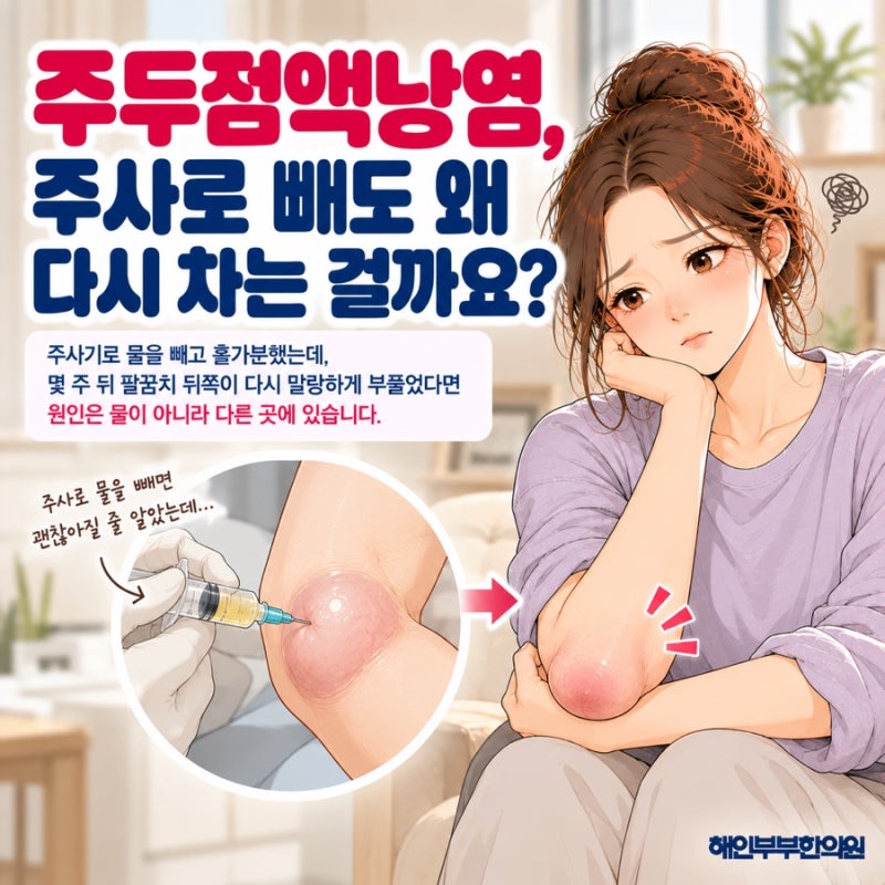 물 빼면 끝일까? 수원 주두점액낭염이 반복해서 차오르는 이유