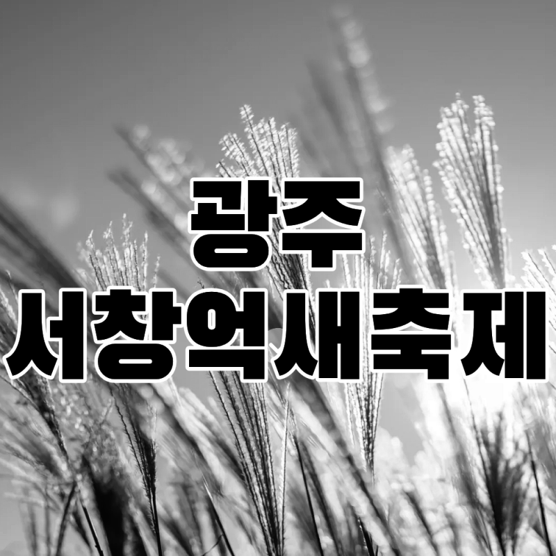 2026 광주서창억새축제 일정표