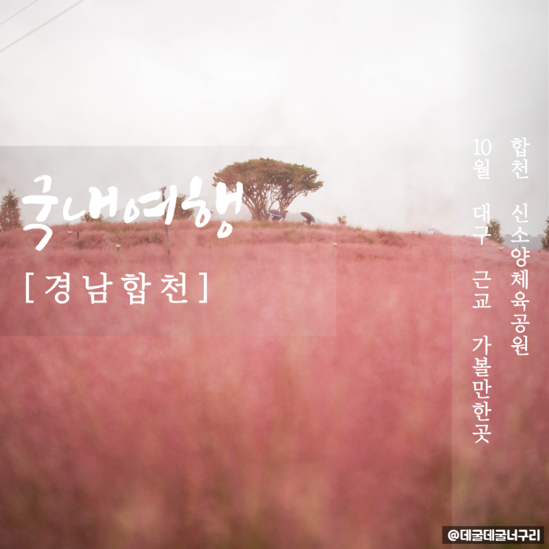 "핑크빛 인생 샷 명소" 10월 대구 근교 가볼만한곳 신소양체육공원