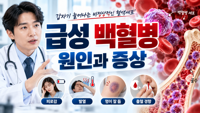급성 백혈병이란? 원인과 증상, 검사 및 치료방법