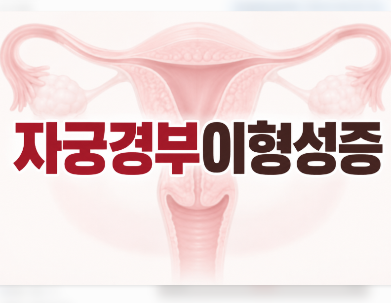 자궁경부이형성증 1단계 CIN1 더 높은 단계 진행 이걸 확인해 보세요