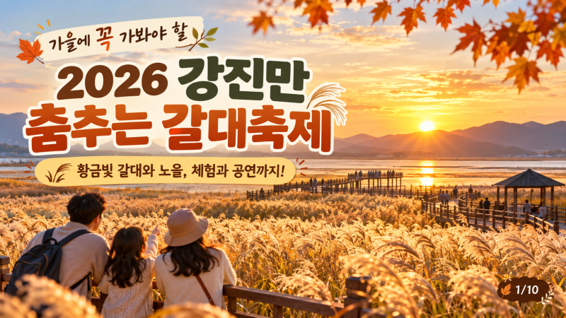 가을 갈대가 이렇게 예뻤나? 2026 강진만 춤추는 갈대축제 일정·주차·아이와 볼거리 총정리