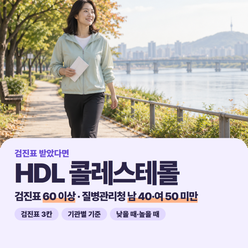 HDL 콜레스테롤 정상 수치, 한 숫자일까? 검진표는 60 이상, 질병관리청은 남녀가 달라요!