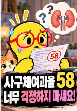 사구체여과율 60·45·30, 신장 검사 수치는 무엇이 다를까요? 한 번 낮다고 확정할 수 없는 이....