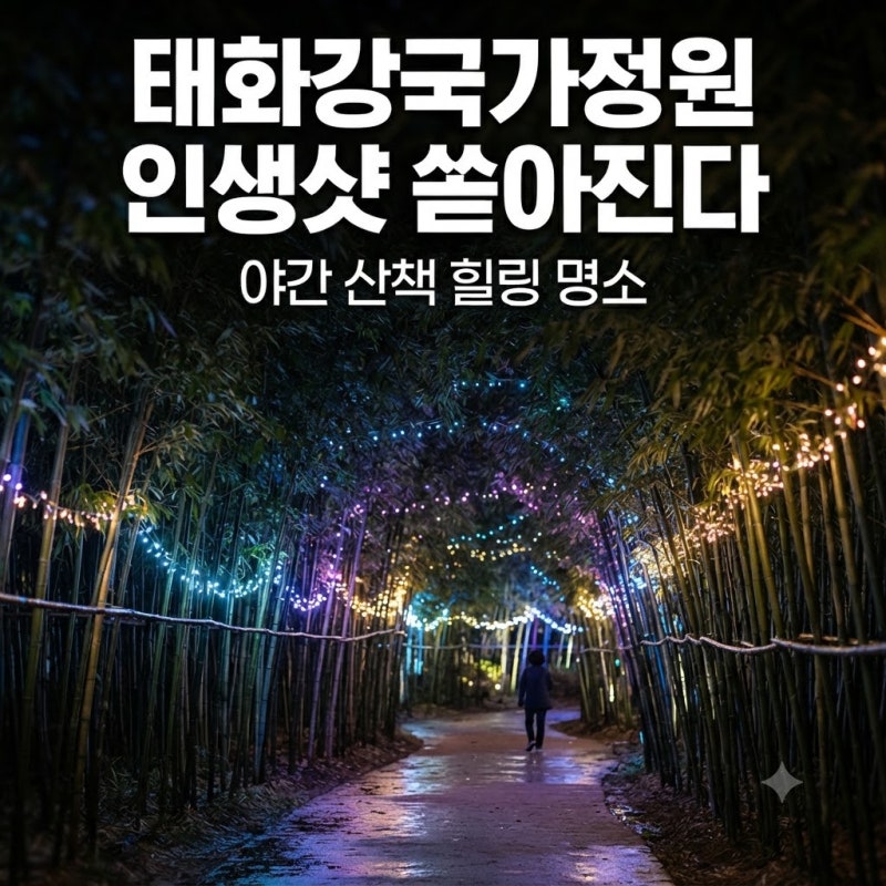울산 태화강 국가정원 십리대숲 대나무 터널과 야간 걷기 명당