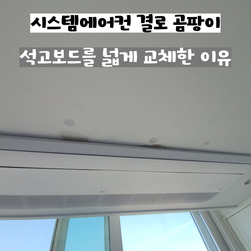 시스템에어컨 결로 곰팡이 석고보드를 넓게 교체한 이유