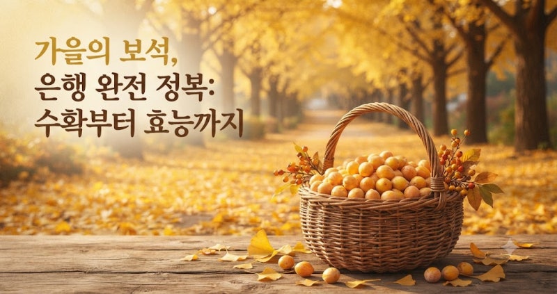 보약보다 좋은 가을 은행의 효능, 딱딱한 껍질과 속껍질 쉽게 까는 법