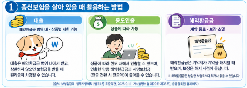 [주간 BEST 보험이슈] 종신보험, 사망해야만 쓸 수 있을까요?10월 둘째 주 보험이슈