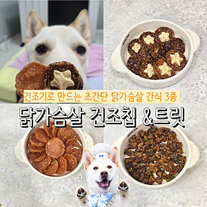 반려견 닭가슴살 칩 , 야채칩, 야채트릿 건조기로 닭가슴살 간식 3종 초간단 만들기 레시피