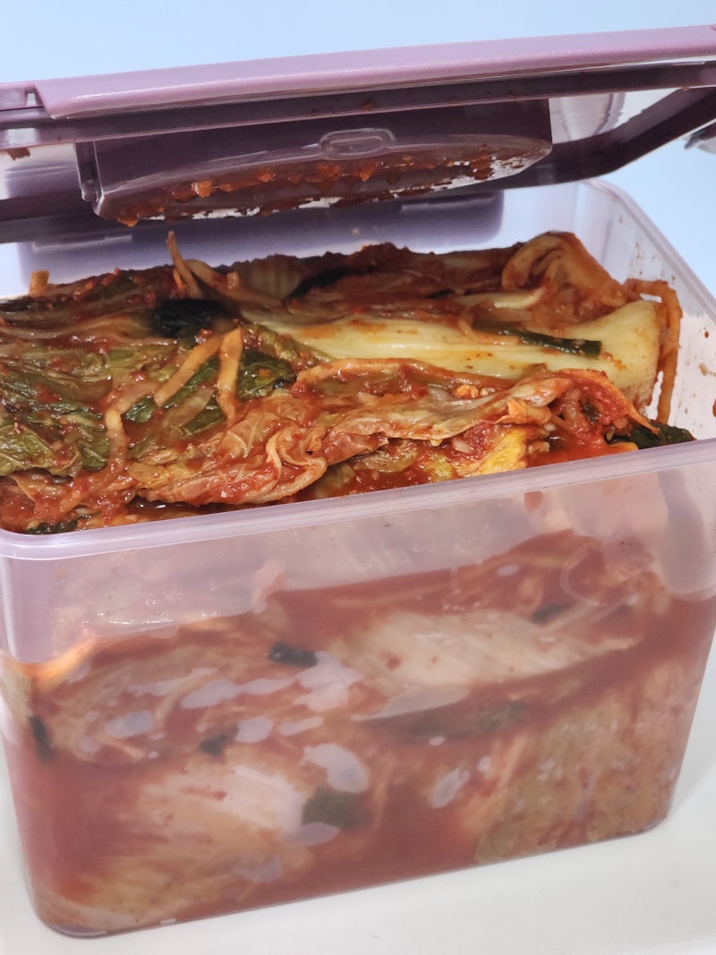 이지앤프리 에어클립 찜기 김치통 퍼플 에디션 특징과 사용 후기