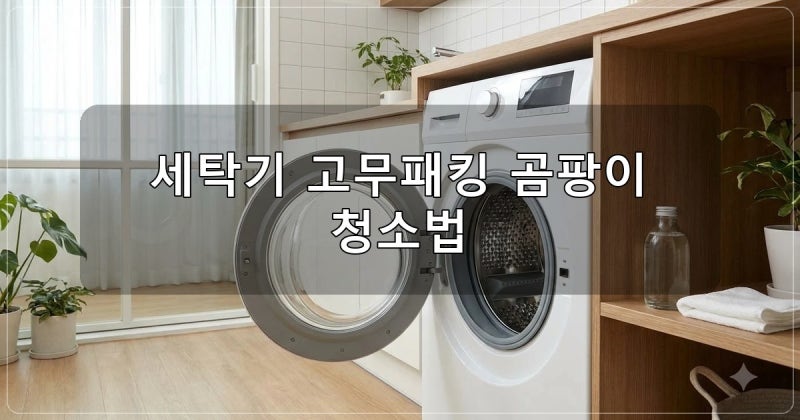 드럼세탁기 고무패킹 청소 방법과 곰팡이 물때 제거 팁