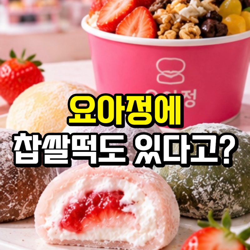 요아정 찹쌀떡 가격 얼마? 종류부터 냉동 해동 먹는법까지 정리