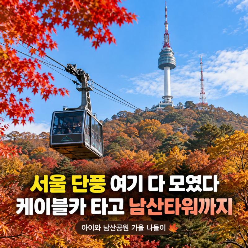"서울 한복판이 이렇게 물든다고?" 남산공원 단풍·케이블카·남산타워 가을 나들이