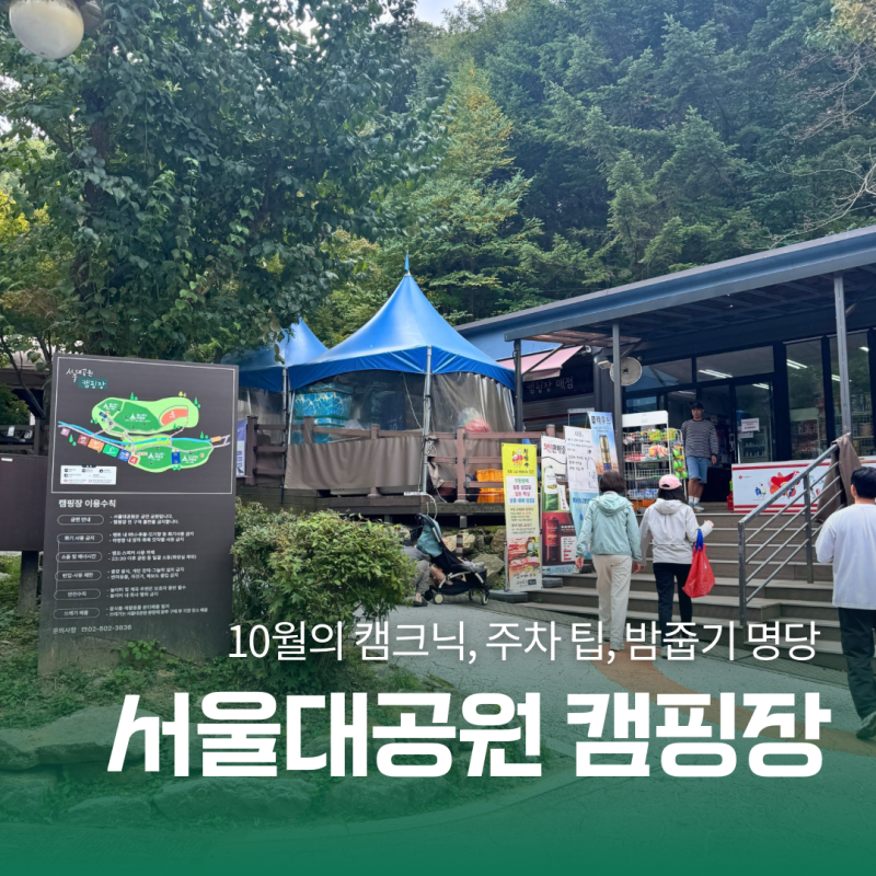 10월 서울대공원 캠핑장 당일치기 밤줍기 명당과 주차 꿀팁