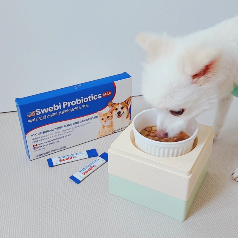 고양이 강아지 유산균 추천 포자형유산균 스웨비 프로바이오틱스 노견 급여후기